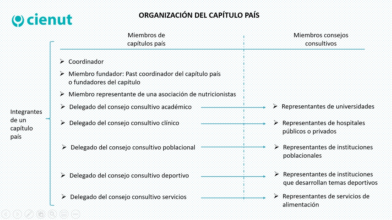Organización del Capítulo País