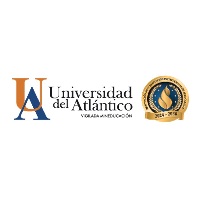 Organización 63